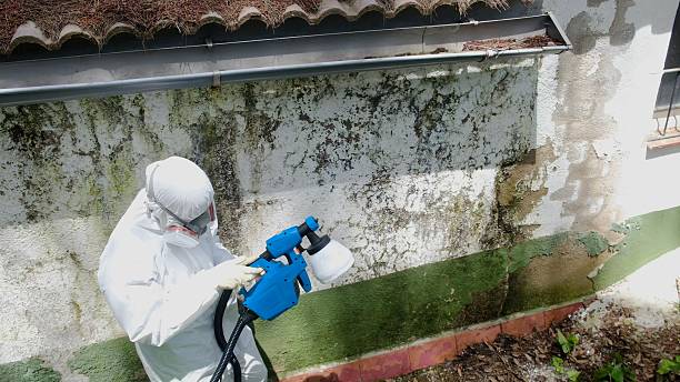Top rated local Mold Remediation specialists in Fort Loudon, PA